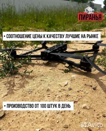Дрон fpv Пиpанья 10 дюймoв