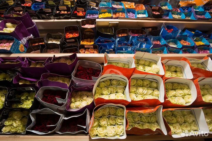 Цветы оптом со склада