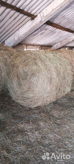 Сено в рулонах 2023