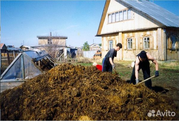 Навоз коровий, куриный