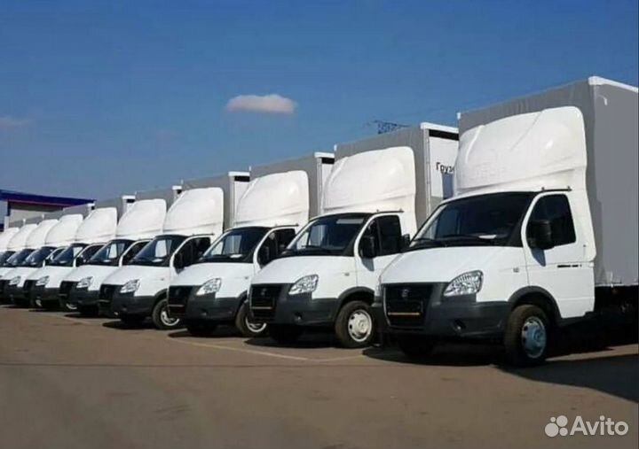 Водитель экспедитор на ГАЗЕЛЬ