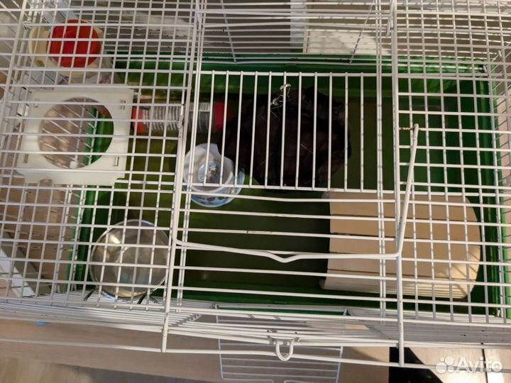Клетка для грызунов большая бу
