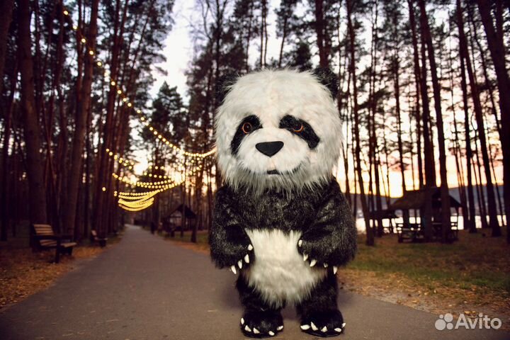 Шоу танцующих медведей