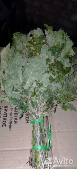 Дубовые веники для бани с травами