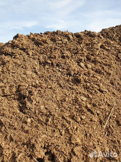 Конский навоз