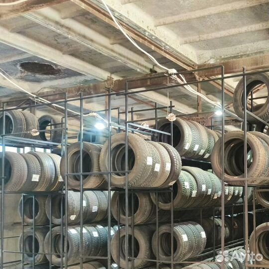 Continental ContiContact TS815 205/50 R17 93L