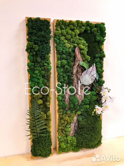 Картина со мхом и орхидеей