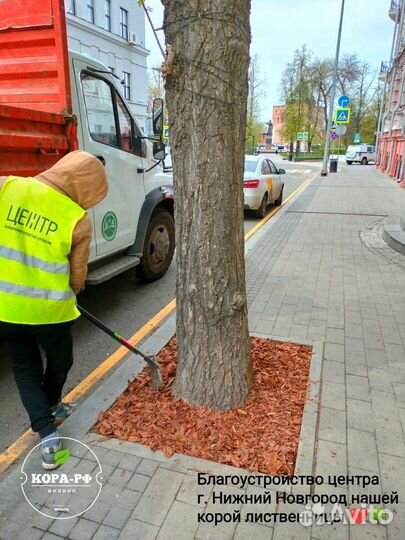Мульча кора лиственницы
