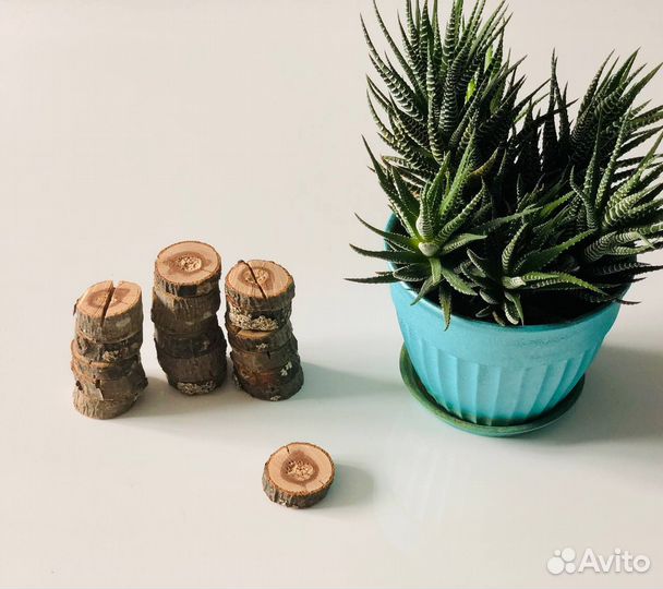 Спилы дерева для творчества 18 шт