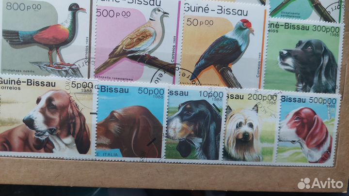 Марки. флора фауна. И другое