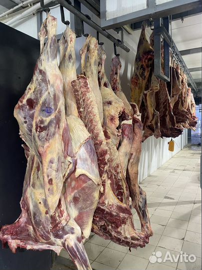 Продажа доли в мясопереработке