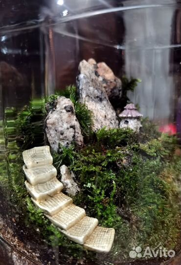 Флорариум мохариум
