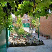 Дом 115 м² на участке 15,5 сот.