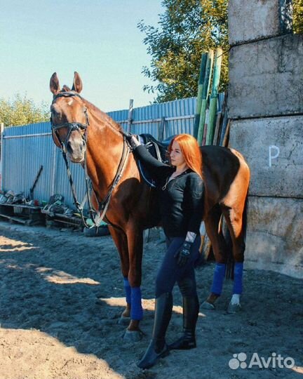 Вальтрап Стан бинтов