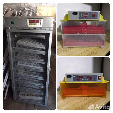 Инкубатор для яиц. Дробилка