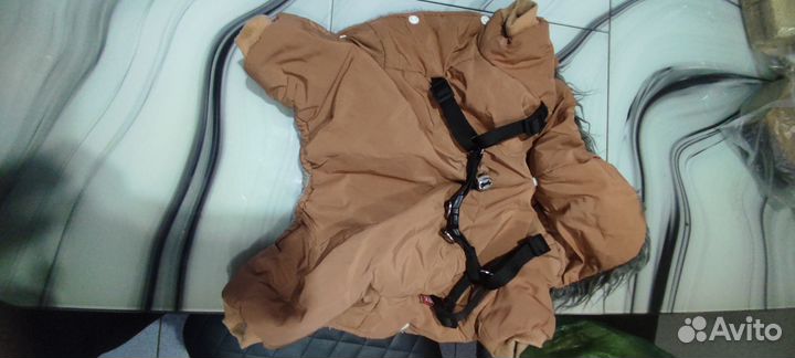 Одежда для собак мелких пород