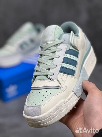 Adidas forum forum low