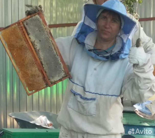 Мед в сотах 2024