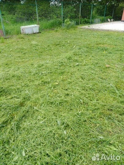 Покос травы