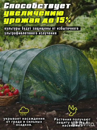 Сетка затеняющая 3мх10м 35 затенение