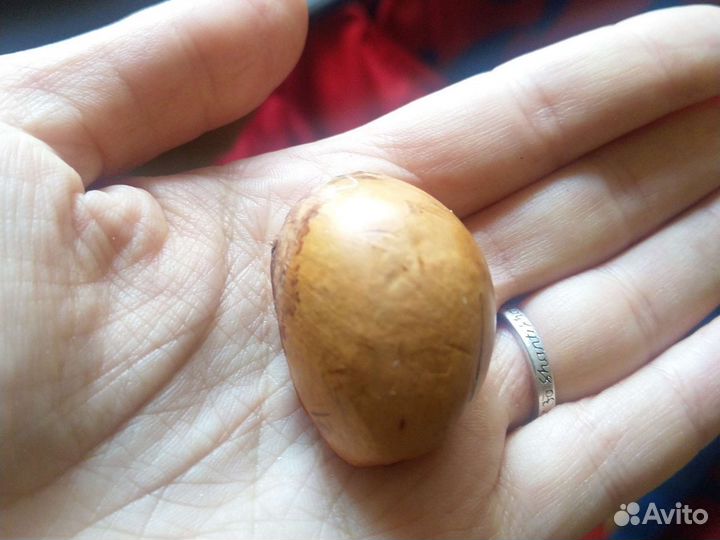 Семена Дуриана Монтонг/Коньяо