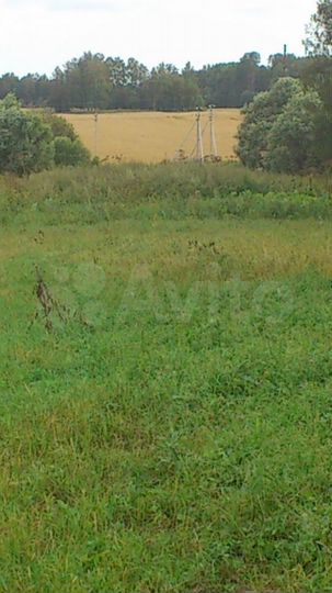 Участок 17 сот. (ИЖС)