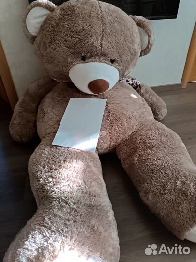 Плюшевый медведь