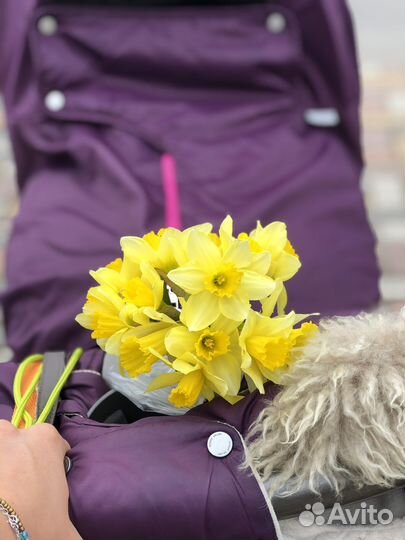 Зимний кит на коляску stokke