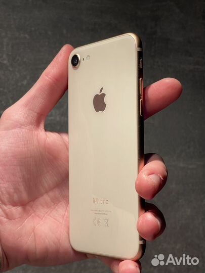 iPhone 8, 256 ГБ