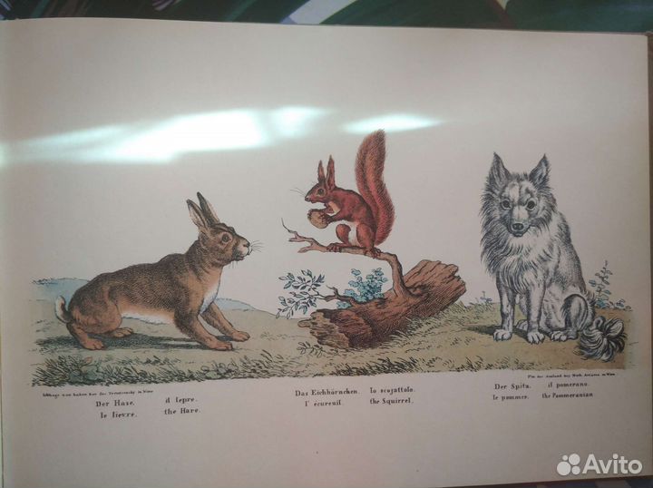 Книга- альбом на немецком языке