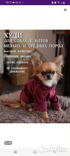 Худи для собак