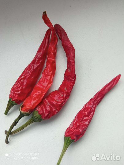 Перец острый тайский