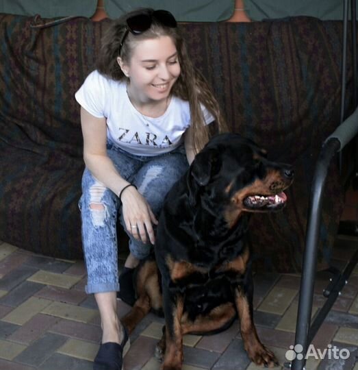 Присмотр за животными пока вы в отъезде / отпуске