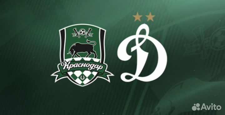 Билет краснодар динамо