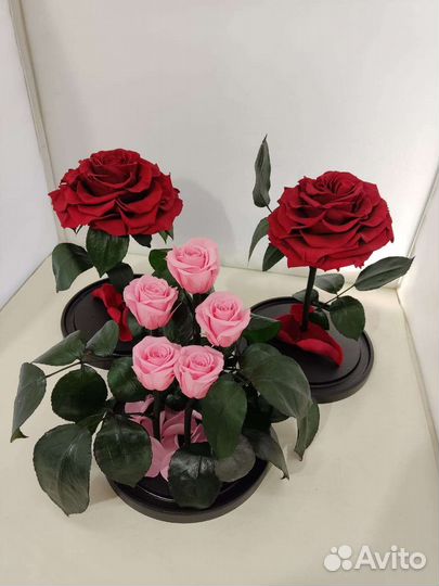 Цветы оптом