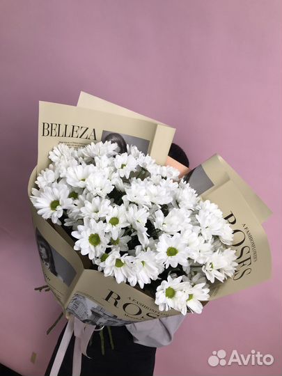 Ромашки хризантемы