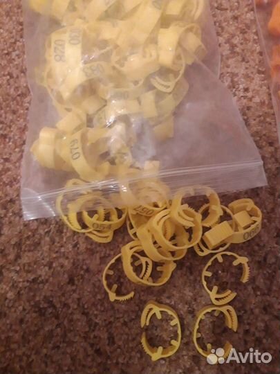 Кольца для птиц