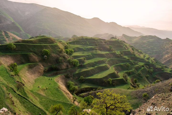 Тур Дагестан 5 дней