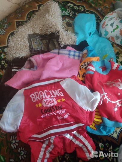 Одежда для собак пакетом