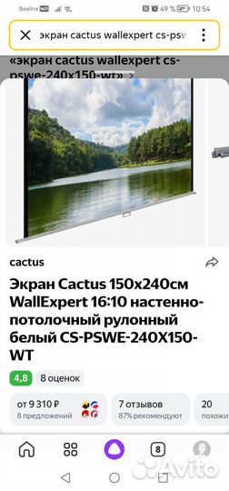 Экран Cactus 150x240см WallExpert