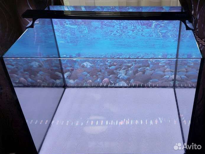 Новый аквариум 