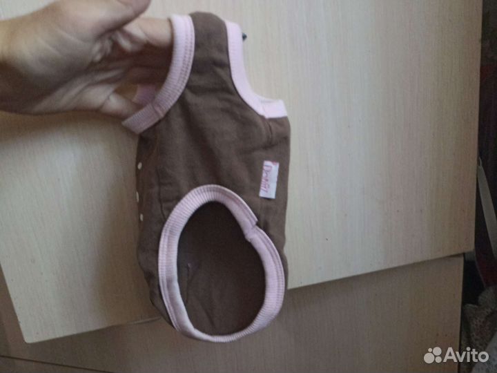 Вещи для маленьких собачек