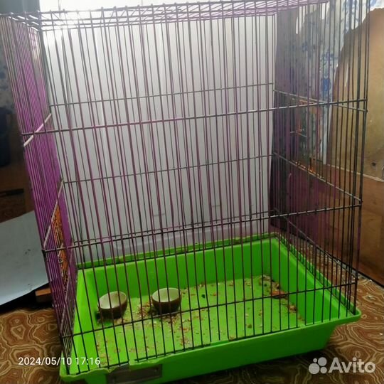Клетка для морской свинки
