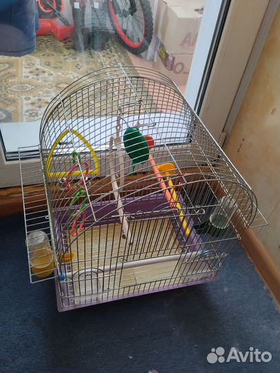 Клетка для попугая и аквариумные принадлежности