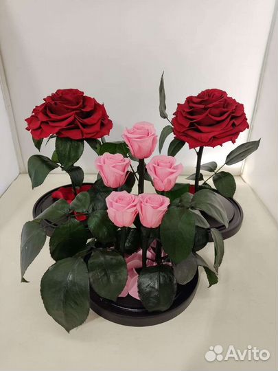 Цветы оптом