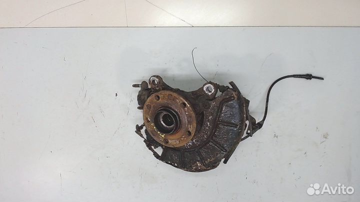 Ступица (кулак, цапфа) Skoda Octavia (A5), 2005