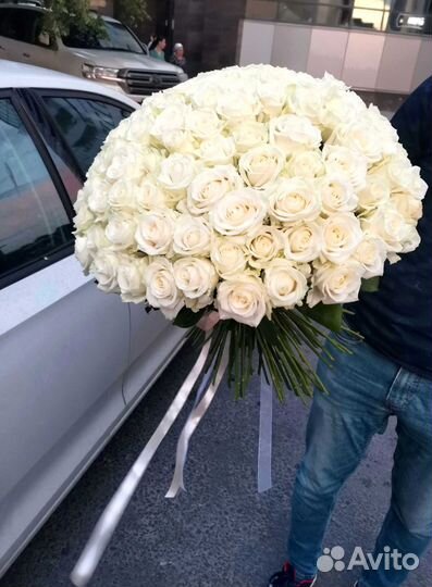 Розы 101 роза