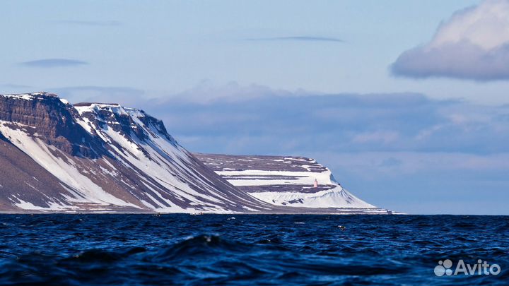 Тур в Териберку с выходом в море в поисках китов