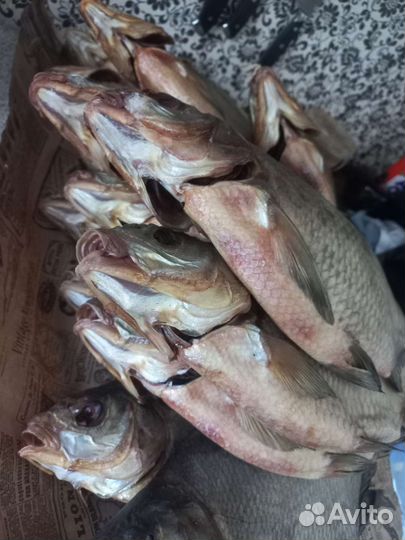 Лещ вяленый Донской вкусный,икряной