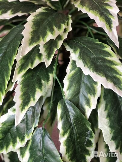 Искусственные растения для декора